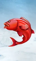 Ice Fishing