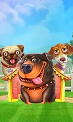 The Dog House